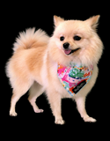 The Fluff Co. Classic Tie Reversible Scarf Bandana Watercolour | Perromart Online Pet Store Singapore
