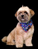 The Fluff Co. Classic Tie Reversible Scarf Bandana Starlet | Perromart Online Pet Store Singapore