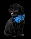 The Fluff Co. Classic Tie Reversible Scarf Bandana Streaks | Perromart Online Pet Store Singapore