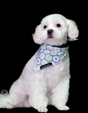 The Fluff Co. Classic Tie Reversible Scarf Bandana Retro Hexagon | Perromart Online Pet Store Singapore