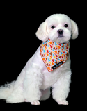 The Fluff Co. Classic Tie Reversible Scarf Bandana Retro Vector | Perromart Online Pet Store Singapore
