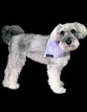 The Fluff Co. Classic Tie Reversible Scarf Bandana Periwinkle | Perromart Online Pet Store Singapore
