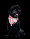 The Fluff Co. Classic Tie Reversible Scarf Bandana Blush | Perromart Online Pet Store Singapore