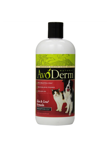 Avoderm Natural Skin and Coat Shampoo For Pets ( 16OZ ) | Perromart Online Pet Store Singapore