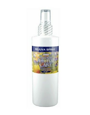 Azmira Rejuva Spray | Perromart Online Pet Store Singapore