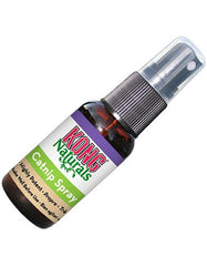 Kong Catnip Spray | Perromart Online Pet Store Singapore