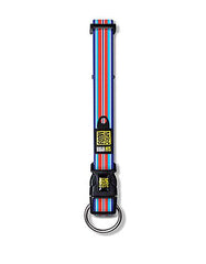 Max & Molly Hampton strip blue Dog Collar | Perromart Online Pet Store Singapore