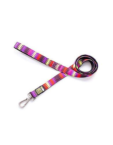 Max & Molly Latte Dog Short Leash | Perromart Online Pet Store Singapore