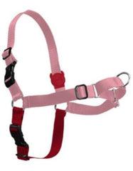 Zee Dog Moma Soft-Walk Harness | Perromart Online Pet Store Singapore
