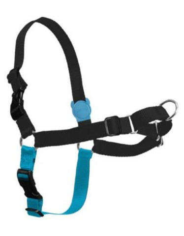 Zee Dog Monoby Soft-Walk Harness | Perromart Online Pet Store Singapore