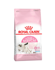 Royal Canin Mother and Baby Cat 2kg | Perromart Online Pet Store Singapore