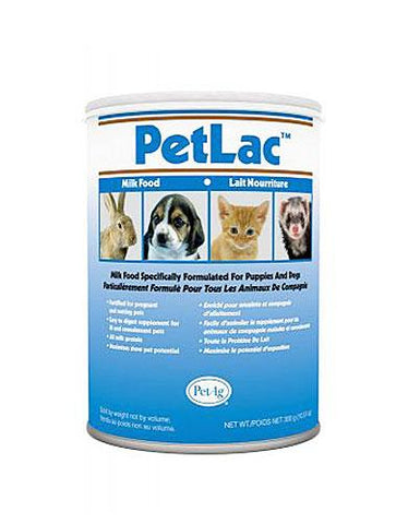 Pet Ag Petlac Powder For Pet ( 300G ) | Perromart Online Pet Store Singapore