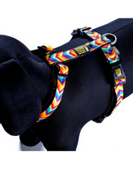 Max & Molly Summer Time Dog Harness (4 Sizes)