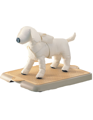 Yogi Pet Pee Tray Large | Perromart Online Pet Store Singapore