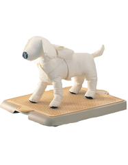 Yogi Pet Pee Tray Large | Perromart Online Pet Store Singapore