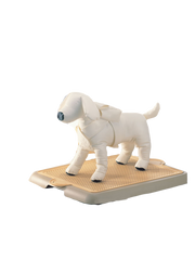 Yogi Pet Pee Tray Small | Perromart Online Pet Store Singapore