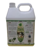 Accurate Oregano Shampoo | Perromart Online Pet Store Singapore