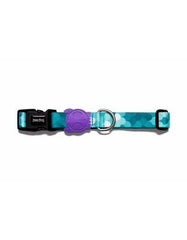 Zee Dog Barracuda Collar ( 3 sizes ) | Perromart Online Pet Store Singapore 