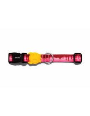 Zee Dog Cake Dog Collar ( 3 sizes ) | Perromart Online Pet Store Singapore