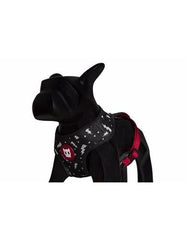 Zee Dog Flash Air Mesh Plus Harness For Dogs ( 3 sizes ) | Perromart Online Pet Store Singapore