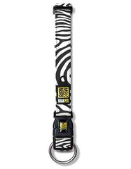 Max & Molly Zebra Classic Dog Collar | Perromart Online Pet Store Singapore