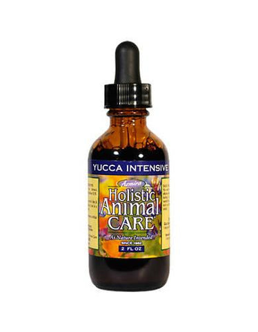 Azmira Yucca Intensive for Dog and Cat | Perromart Online Pet Store Singapore