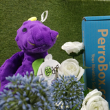 goDog Purple Skinny Dragon (Small/Large)