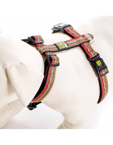 Max & Molly Ethnic Vibes Dog Harness | Perromart Online Pet Store Singapore
