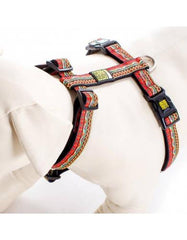 Max & Molly Ethnic Vibes Dog Harness | Perromart Online Pet Store Singapore