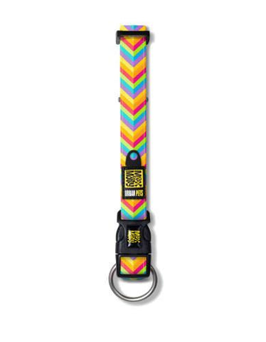 Max & Molly Summer Time Dog Collar | Perromart Online Pet Store Singapore