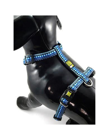 Max & Molly Ethnic Blue Harness | Perromart