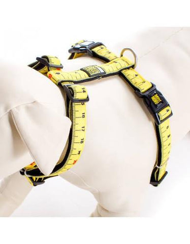 Max & Molly Ruler Harness | Perromart