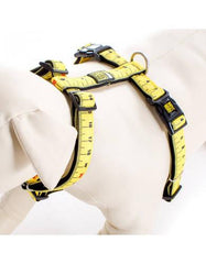 Max & Molly Ruler Harness | Perromart