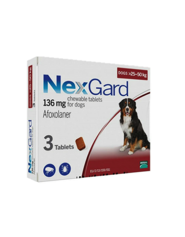 NexGard Chews for Large Dogs 25-50kg - 3 or 6 Doses | Perromart, online pet store Singapore