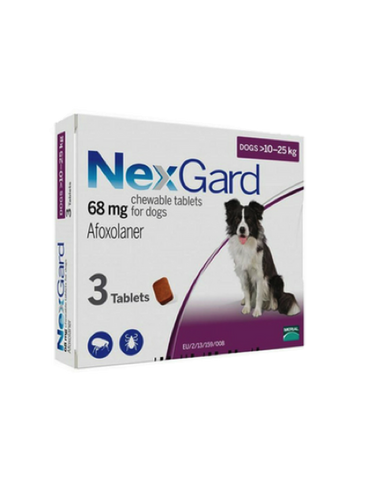 NexGard Chews for Medium Dogs 10-25kg - 3 or 6 Doses | Perromart, online pet store Singapore
