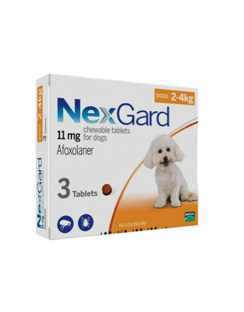 NexGard Chews for Extra Small Dogs 2-4kg - 3 or 6 Doses | Perromart, online pet store Singapore