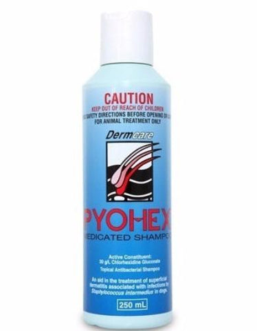 PYOHEX Medicated Shampoo (250ml &1litre) - Perromart