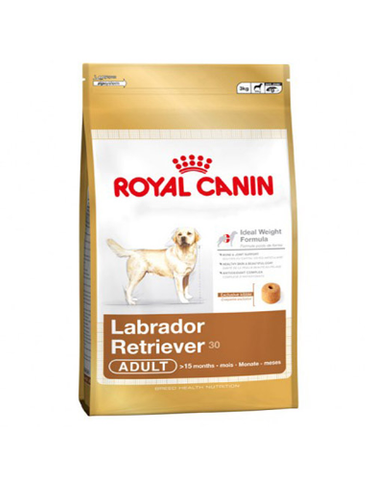 Royal Canin Labrador Adult Dog Dry Food | Perromart Online Pet Store Singapore
